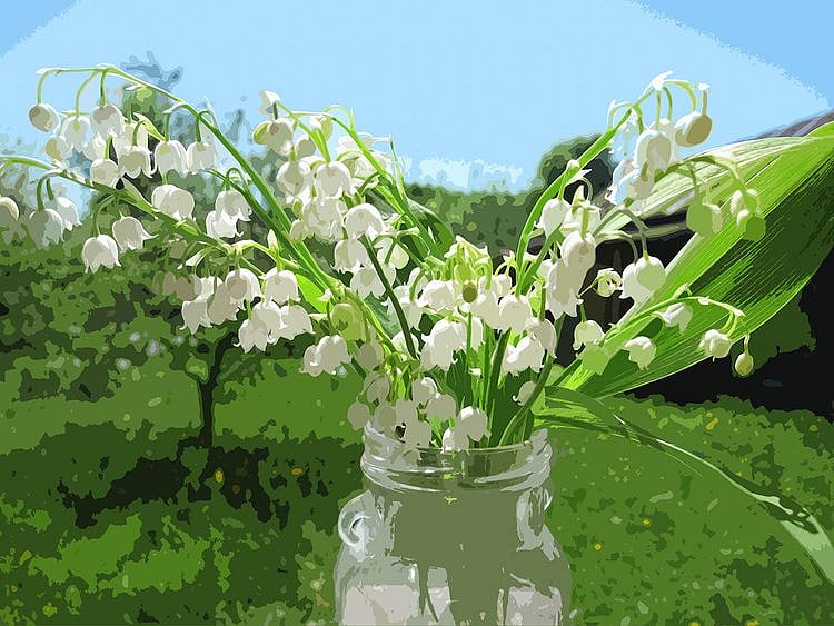 OPN Lilies in jar 