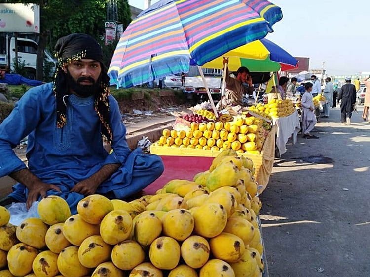MANGO-1656234064949