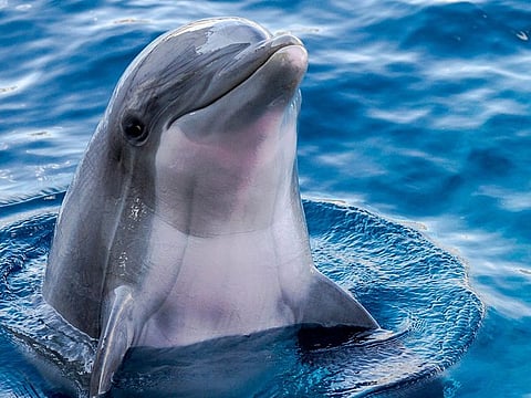 A way to counter the psychological 'ironic rebound'...