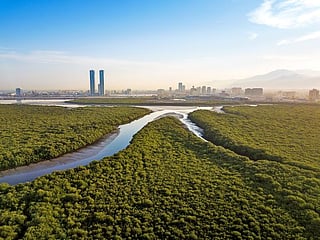 UAE’s conservation efforts to take centre stage at COP28