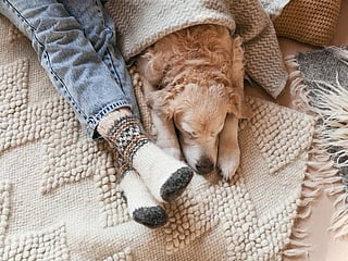 Create a home that makes you smile: From Denmark to UAE - how to get the hygge aesthetic