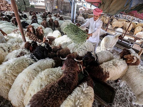 Photo for illustrative purpose.