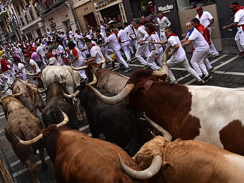 People run through the streets with fighting bulls and steers during the first day of the running of the bulls at the San Fermin Festival in Pamplona, northern Spain, Thursday, July 7, 2022.
