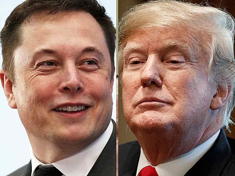 Elon Musk and Donald Trump