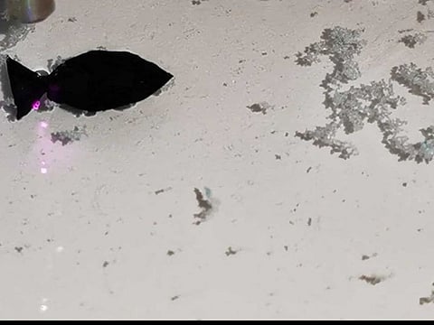 A fish-shaped robot, which researchers say can suck up microplastics in shallow water, moves under the direction of a near-infrared (NIR) light, in this screen grab taken from a handout video provided to Reuters July 12, 2022. 