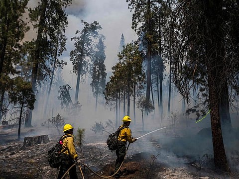 Firefighters put out hot spots from the Washburn Fire in Yosemite National Park, California, July 11, 2022.