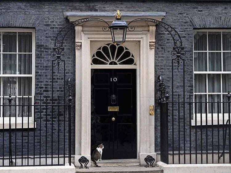 Larry the cat sits outside 10 Downing Street in London. 