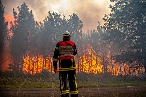 A firefighter works to contain a fire that broke out near Landiras, as wildfires continue to spread in the Gironde region of southwestern France, in this handout picture taken July 15, 2022 and obtained from the fire brigade of the Gironde region (SDIS 33) on July 16, 2022.