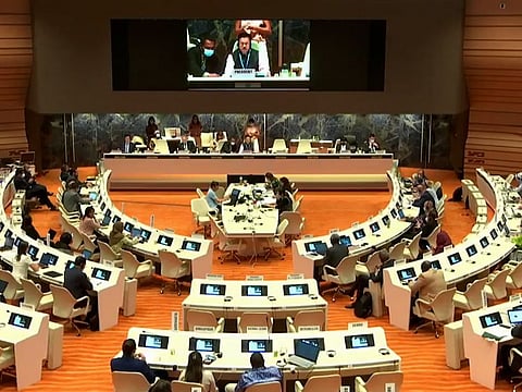 The World Health Assembly.