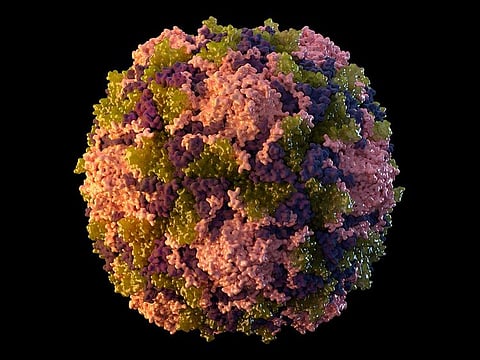This 2014 illustration made available by the US Centres for Disease Control and Prevention depicts a polio virus particle. On Thursday, July 21, 2022, New York health officials reported a polio case, the first in the US in nearly a decade. 