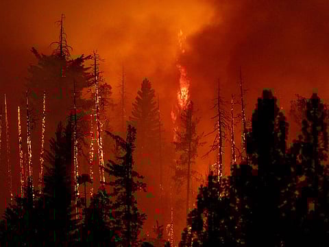 A forest is incinerated by the Oak Fire near Midpines, northeast of Mariposa, California, on July 23, 2022. 