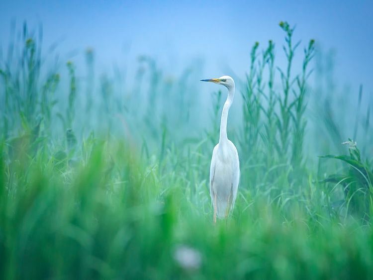 World Nature Conservation Day