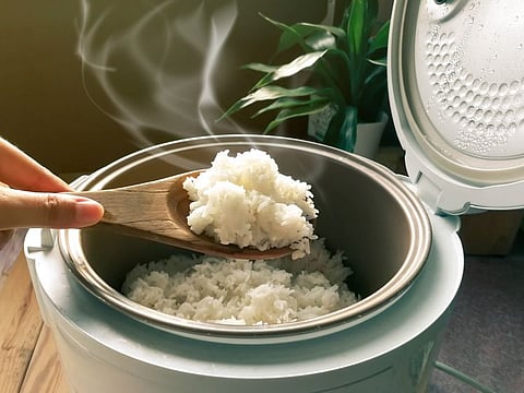 There's always a healthy meal waiting to be had, with rice cookers around.