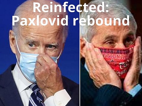 US President Joe Biden (left) recently confirmed he tested COVID-positive again, which a White House doctor said was a result of "Paxlovid rebound." Dr Anthony Fauci, America's top infectious disease expert, also confirmed he was also reinfected with COVID, also after taking a full course of Paxlovid.