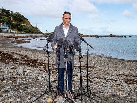 New Zealand Climate Change Minister James Shaw poses for a photo at Owhiro Bay beach in Wellington, New Zealand, Wednesday, Aug. 3, 2022.