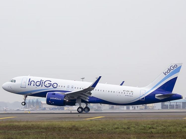 Stock-Indigo-1