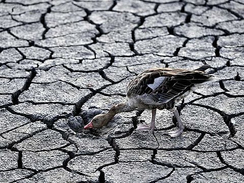 A view of the peninsula of Sirmione, on Garda lake, Italy, on August 12, 2022. Lake Garda water level has dropped critically following severe drought resulting in rocks to emerge around the Sirmione Peninsula. 