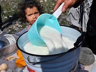 Photos: Fermented horse milk season on in Kyrgyzstan