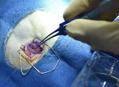 First-3-D-printed-human-cornea-1660491387855