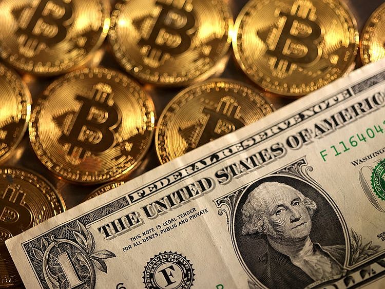 Stock - Bitcoin and Dollar