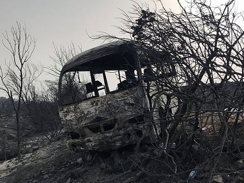 Burnt trees and a bus are pictured in Al Kala, in Al Tarf, province, on August 18, 2022. 
