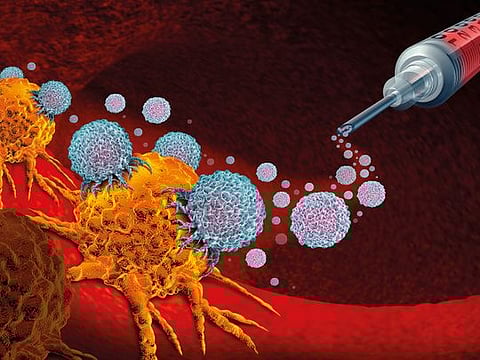 ACOC: Immunotherapy and cancer