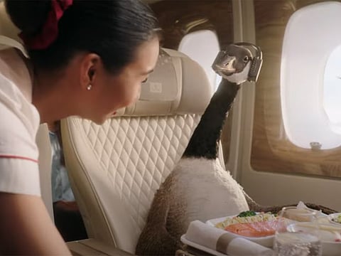 The CGI and filming process of the campaign took 14 weeks.