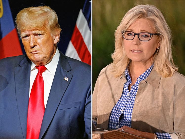 OPN Trump and Liz Cheney