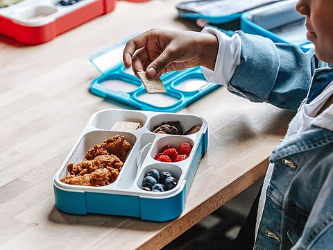 Your children can still munch on tasty cookies, candies and chips that not only are without allergens but also nutritious. 