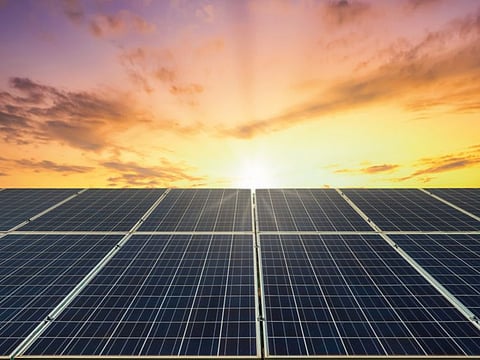 Solar panels require delicate handling - which DEWA's robot carrier can easily do 