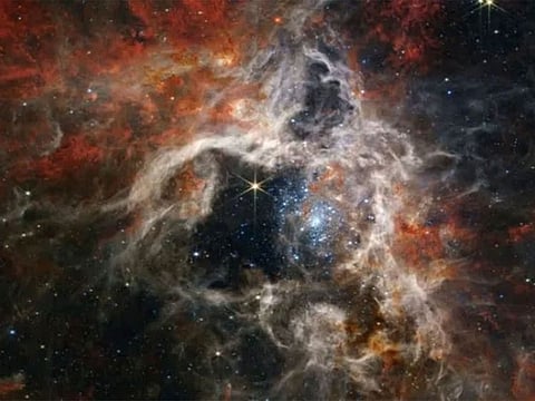 In this mosaic image stretching 340 light-years across, Webb’s Near-Infrared Camera (NIRCam) displays the Tarantula Nebula star-forming region in a new light, including tens of thousands of never-before-seen young stars that were previously shrouded in cosmic dust.