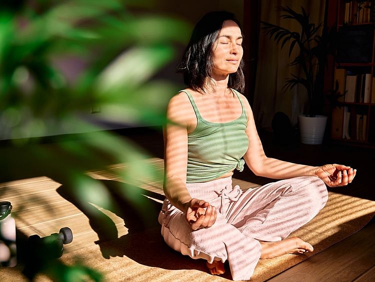 shutterstock_2104174118-1662797090564