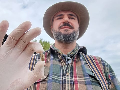 Giorgi Bidzinashvili, an archaeologist and the dig team's scientific leader, demonstrates a tooth belonging to an early species of human, which was recovered from rock layers presumably dated to 1.8 million years old, near an excavation site in Dmanisi outside the village of Orozmani, Georgia. 