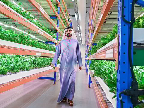His Highness Sheikh Mohammed bin Rashid Al Maktoum said during his tour that the unique initiative reflects the UAE's commitment to food security