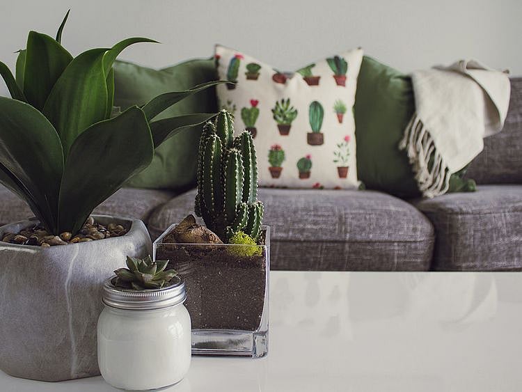 Living room from pexels.com