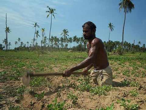 Singaram Soosaiyamutthu, a 44-year-old labourer who lost both his legs during Sri Lanka’s civil war, digs a spade into farmland he’s rented to plant peanuts in Mullaitivu, Northern Province, Sri Lanka. 