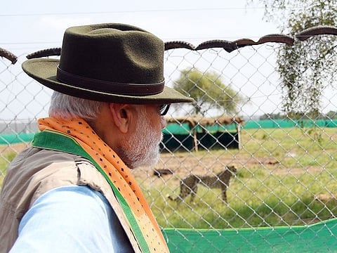 Prime Minister Narendra Modi releases wild Cheetahs-which had become extinct from India, in Kuno National Park, Madhya Pradesh, on Saturday.