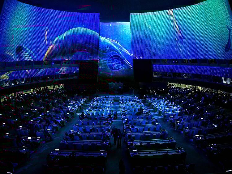 220919_UNGA_SDG_Moment_Expo_-_Whale-1663674238924