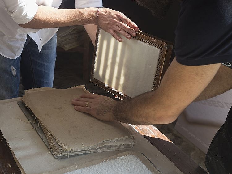 DIY recycled seed paper