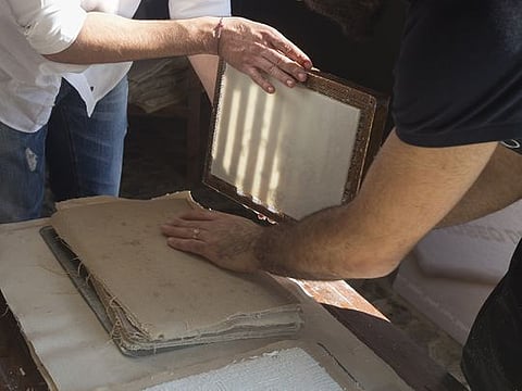 DIY recycled seed paper