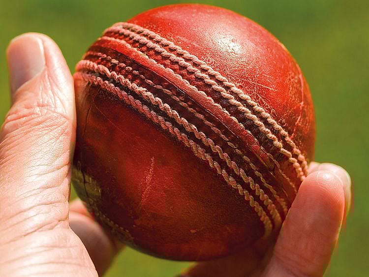 cricket ball