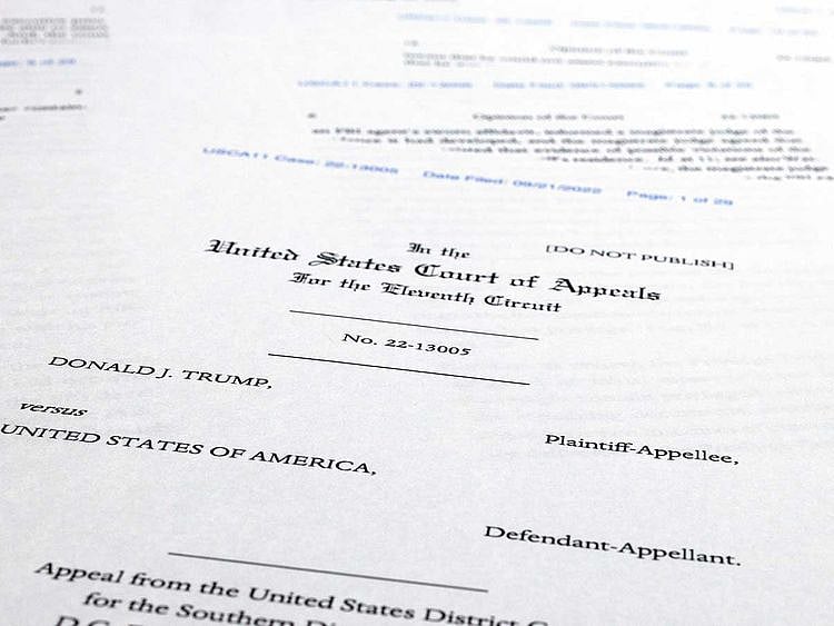 Trump court papers