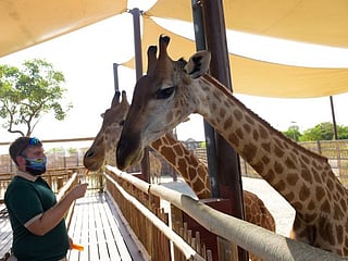 Dubai Safari Park awaits visitors and US plunges into chaos after speaker’s ouster, Gulf News Editors comment on October 4 trending news