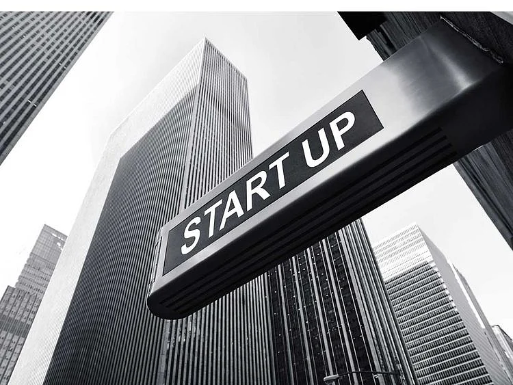Lead_free zone entrepreneurs 