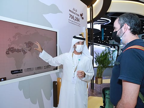 The UAE has bred and released more than 549,816 houbara bustards into the wild through the efforts of the International Fund for Houbara Conservation