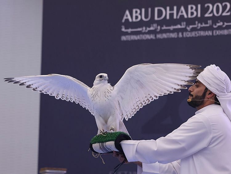 dh1m-falcon-auctioned-at-ADIHEX-2022-NEW-1664719992044