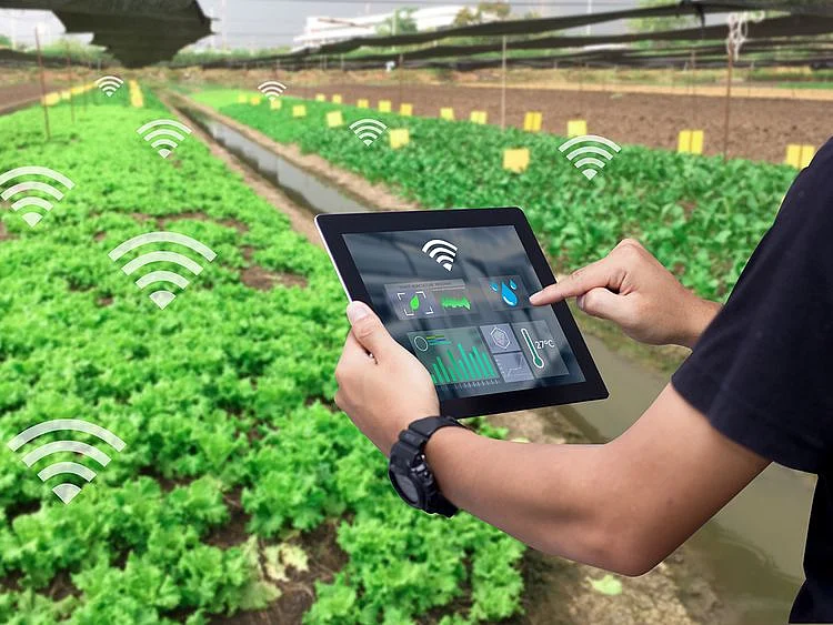 Stock-Agritech-1
