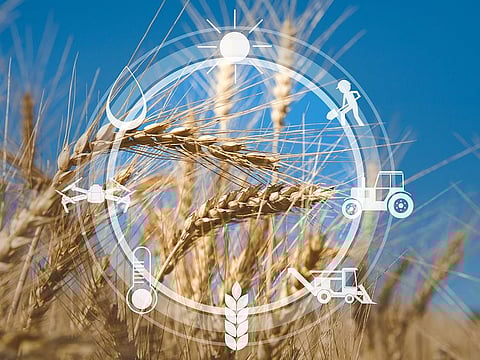 ADQ-backed Silal was established in 2020 to diversify sources of food products and stimulate manufactured and agri food sectors.