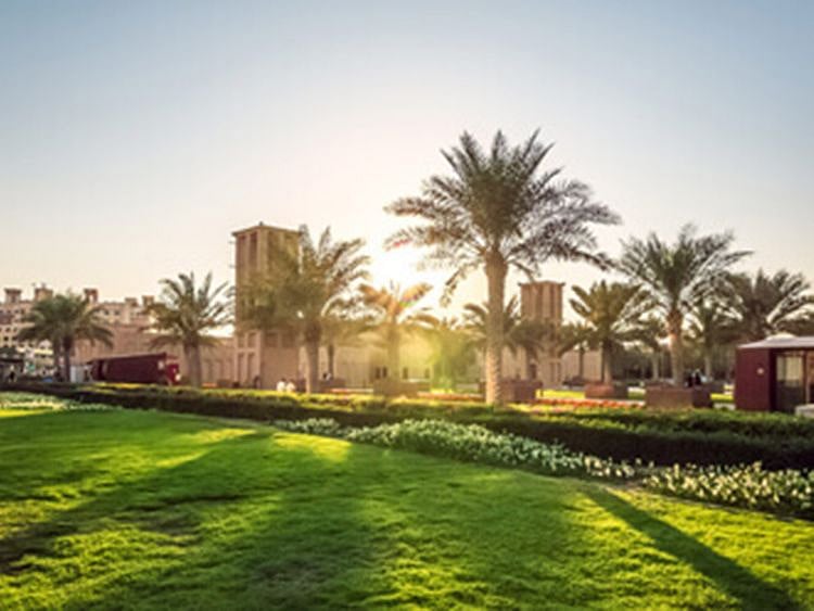  The initiative will collect data and compile field studies that contribute to preparing maps for planting different types of indigenous trees and shrubs, as well as for seed dispersal