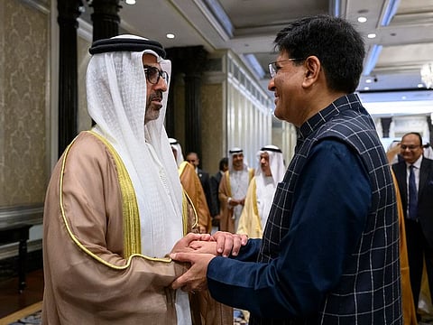 Sheikh Hamed bin Zayed Al Nahyan with Piyush Goyal.